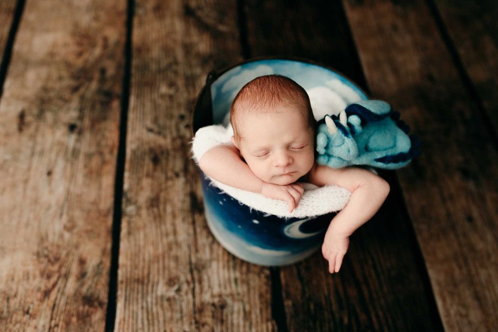 newborn with dragon in a bucket photo shoot
