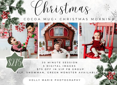 christmas mini session brochure cocoa mug