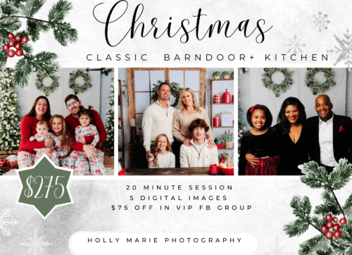 christmas kitchen backdrop with posed family