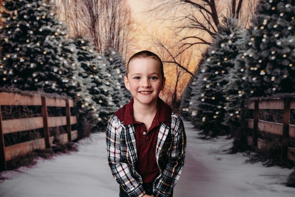 studio backdrop snow covered trees
