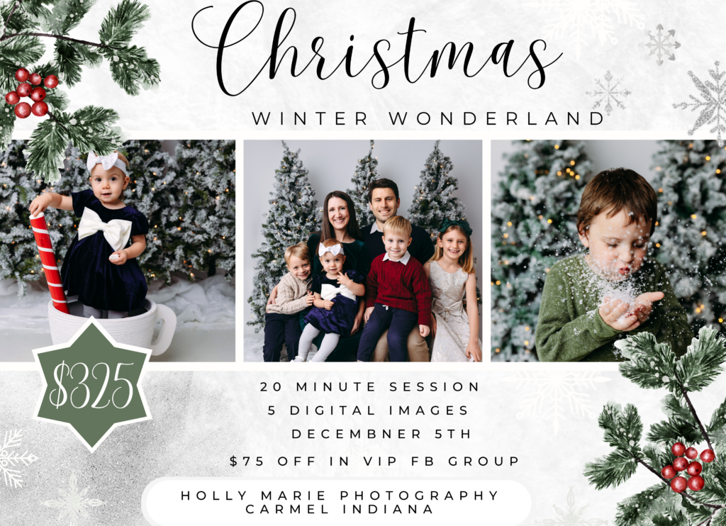 winter studio fake snow brochure